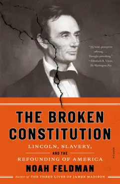 the broken constitution book cover image