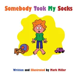 somebody took my socks book cover image