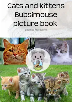 cats and kittens bubsimouse picture book book cover image