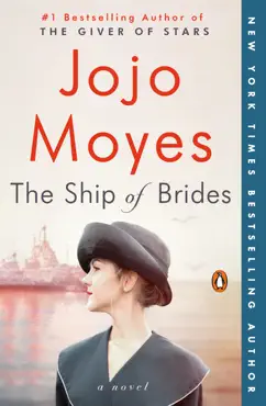 the ship of brides book cover image