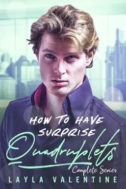 how to have surprise quadruplets (complete series) book cover image