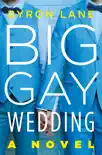Big Gay Wedding synopsis, comments