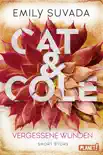 Cat & Cole: Vergessene Wunden sinopsis y comentarios