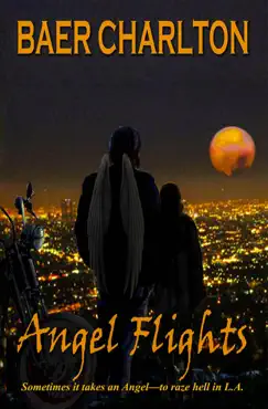angel flights book cover image