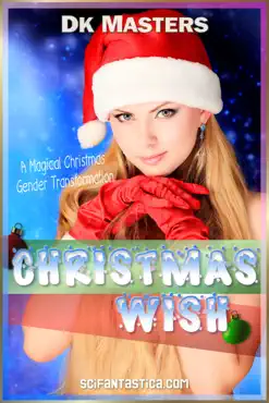 christmas wish book cover image
