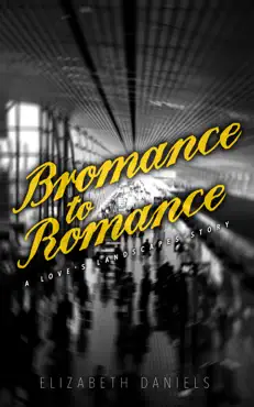 bromance to romance book cover image
