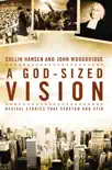 A God-Sized Vision synopsis, comments