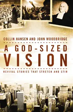 a god-sized vision book cover image