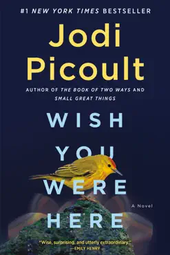 wish you were here book cover image