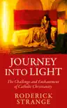 Journey into Light synopsis, comments