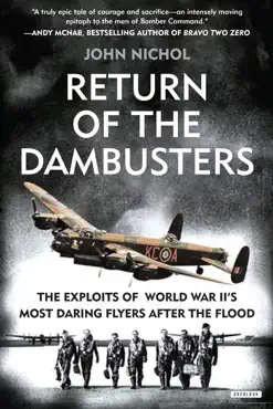 return of the dambusters book cover image
