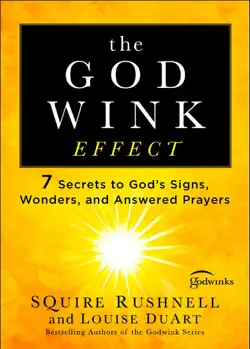 the godwink effect book cover image
