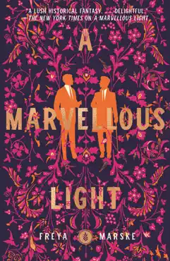 a marvellous light book cover image