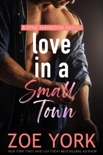 Free Love in a Small Town book synopsis, reviews