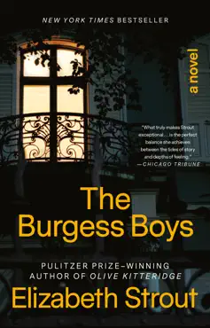 the burgess boys book cover image