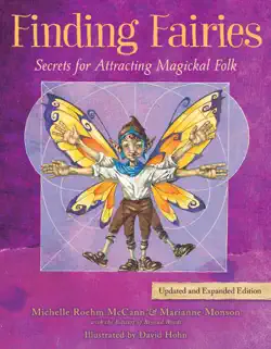 finding fairies book cover image