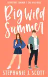 Big Wild Summer synopsis, comments