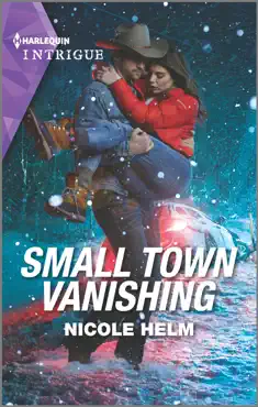 small town vanishing book cover image