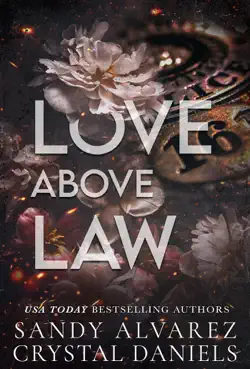 love above law imagen de la portada del libro