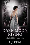 Dark Moon Rising synopsis, comments