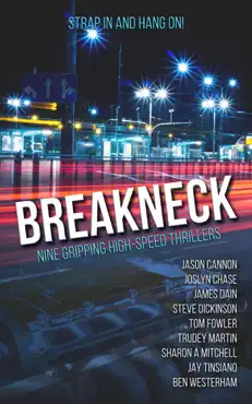 breakneck book cover image