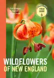 Wildflowers of New England synopsis, comments