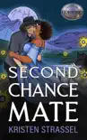 Second Chance Mate synopsis, comments