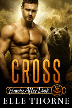 cross book cover image
