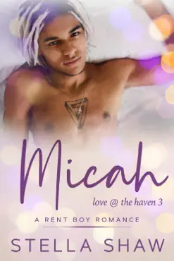 micah, love at the haven 3 book cover image