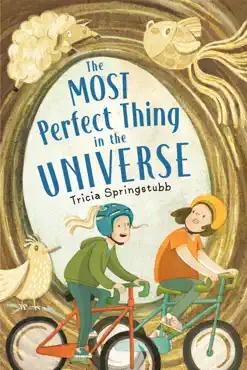 the most perfect thing in the universe book cover image