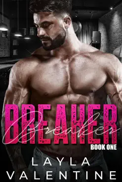 breaker book cover image