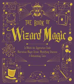 the book of wizard magic book cover image