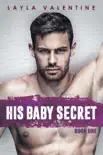 His Baby Secret synopsis, comments