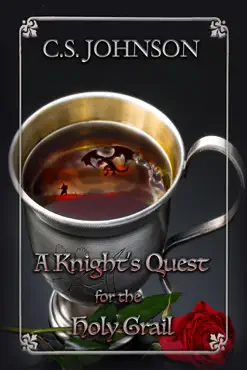 a knight's quest for the holy grail book cover image