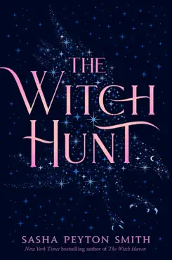 the witch hunt book cover image