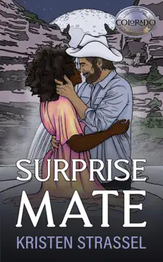 surprise mate book cover image