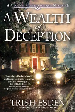 a wealth of deception book cover image