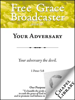 your adversary book cover image