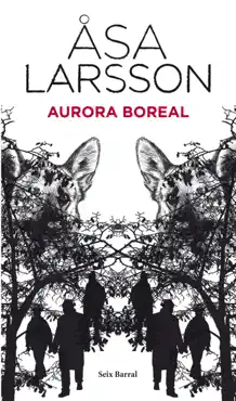 aurora boreal imagen de la portada del libro