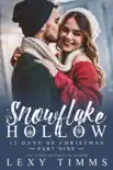 Snowflake Hollow - Part 9 e-book