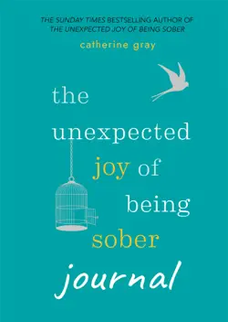 the unexpected joy of being sober journal imagen de la portada del libro