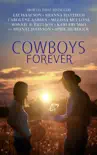 Cowboys Forever e-book