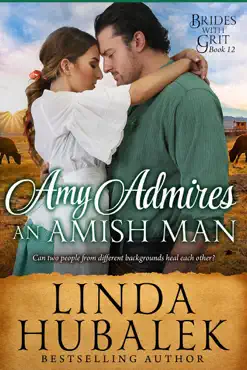 amy admires an amish man book cover image