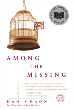 among the missing book cover image