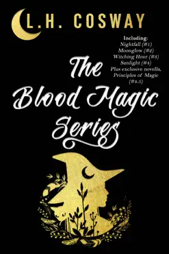 the blood magic series book cover image