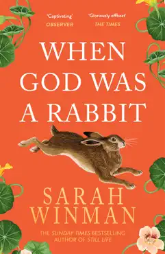 when god was a rabbit imagen de la portada del libro