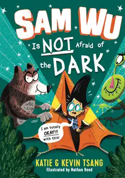 sam wu is not afraid of the dark book cover image