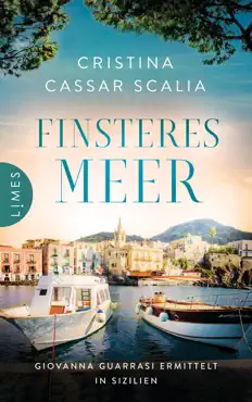 finsteres meer book cover image