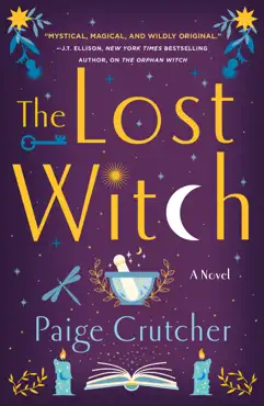 the lost witch book cover image