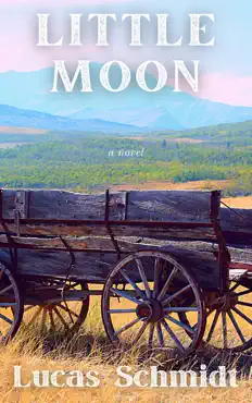 little moon book cover image